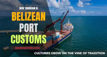 Belizean Port Customs: A Comprehensive Examination