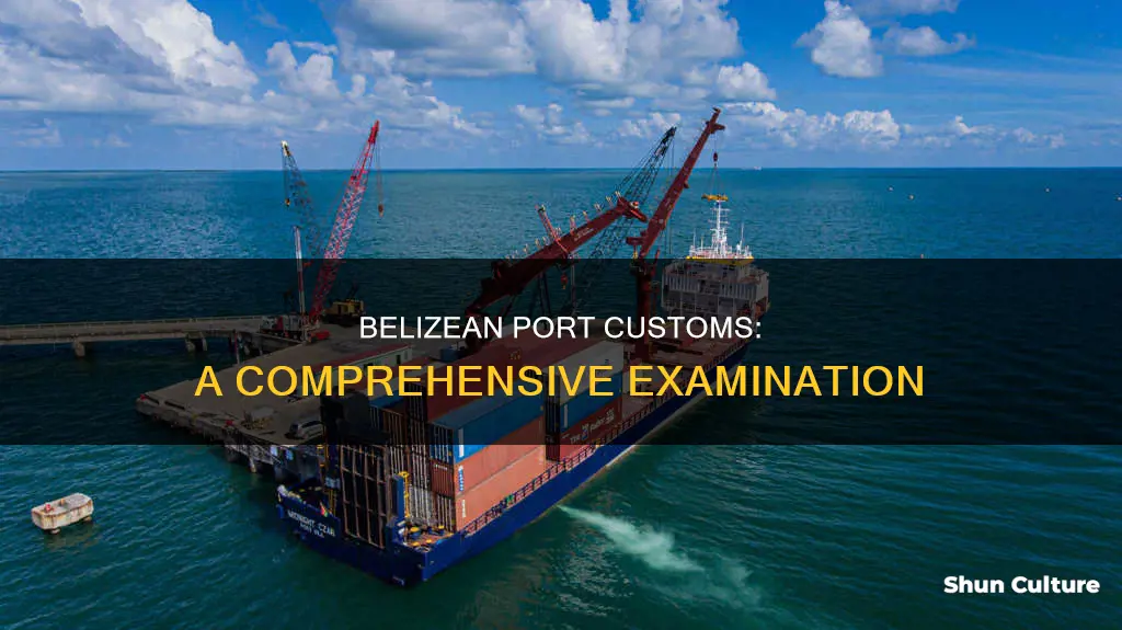 how thorough is belizean port customs