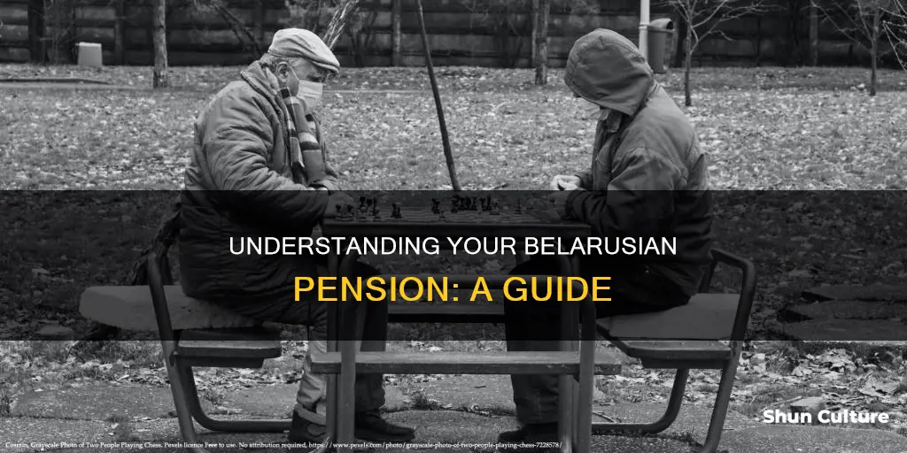 how to account for pension from belarus