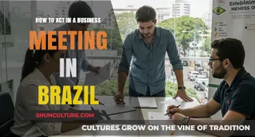 Mastering Brazilian Business Etiquette: Tips for Successful Meeting Behavior