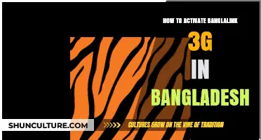 Activate Banglalink 3G in Bangladesh: Simple Steps Guide