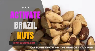 Unlocking Brazil Nuts' Potential: Simple Activation Techniques for Optimal Nutrition