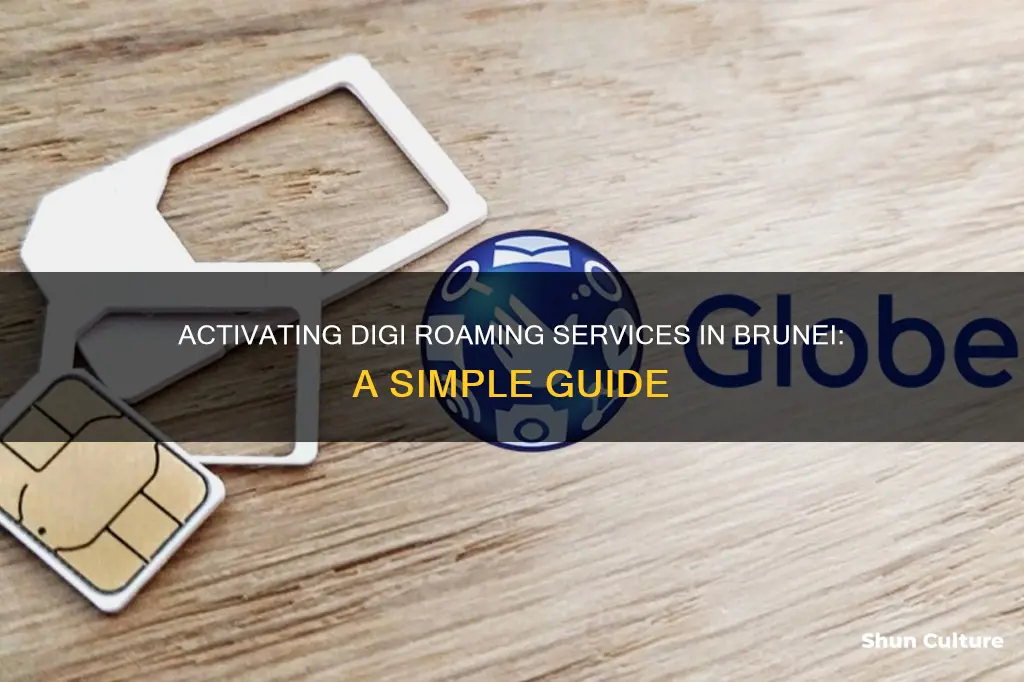 how to activate digi roaming in brunei