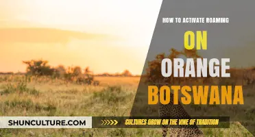 Activate Roaming on Orange Botswana: A Simple Step-by-Step Guide