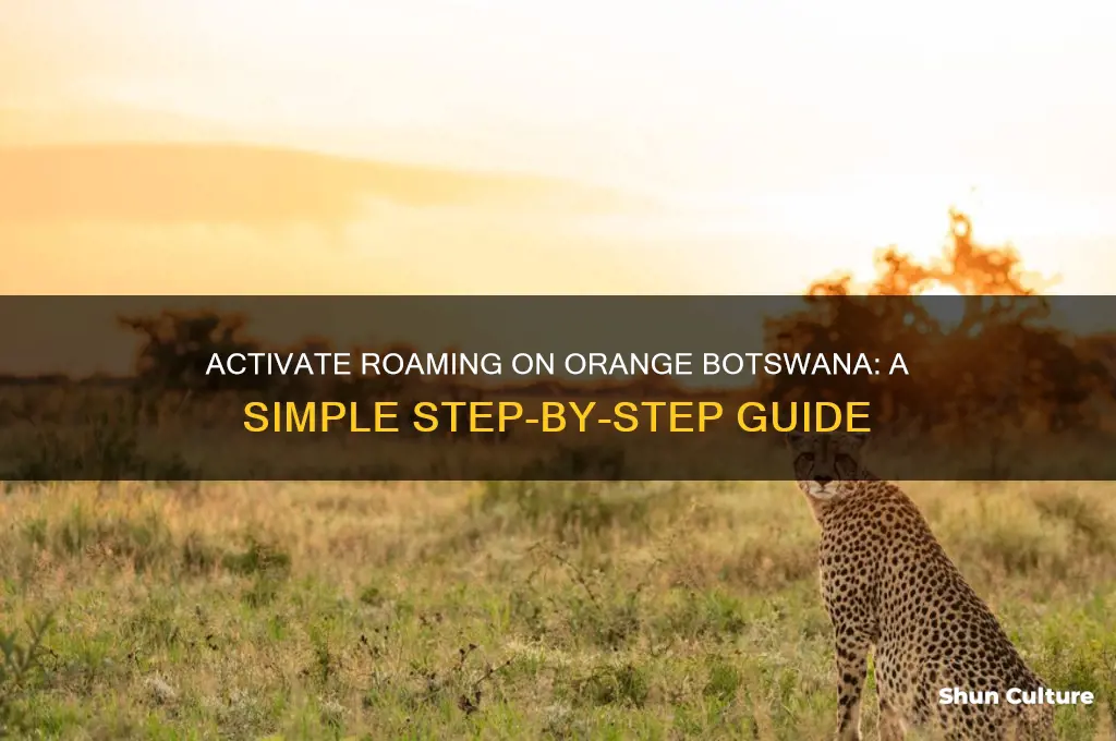 how to activate roaming on orange botswana