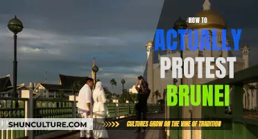 Protest Brunei: Effective Strategies for Change