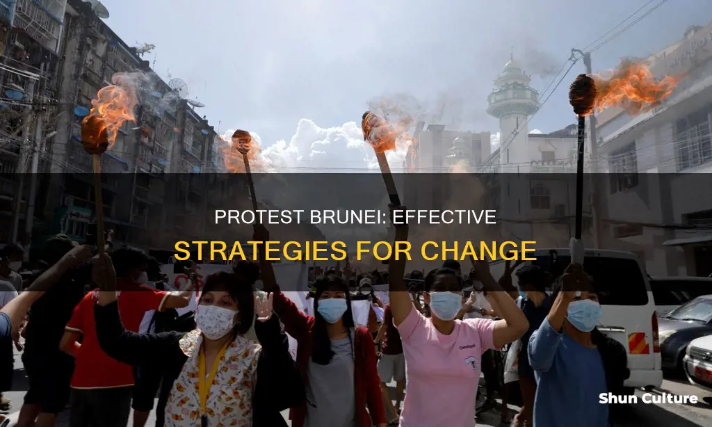 how to actually protest brunei