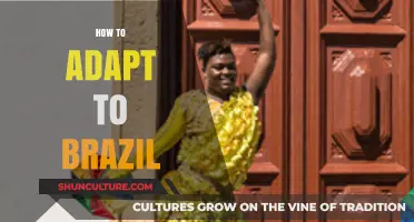 Mastering Life in Brazil: Essential Tips for Smooth Cultural Adaptation