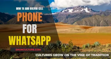 WhatsApp in Bolivia: Adding a Cell Phone Number