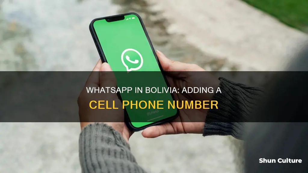 how to add bolivia cell phone for whatsapp