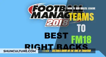 Adding Brazilian League Teams to FM18: A Step-by-Step Guide