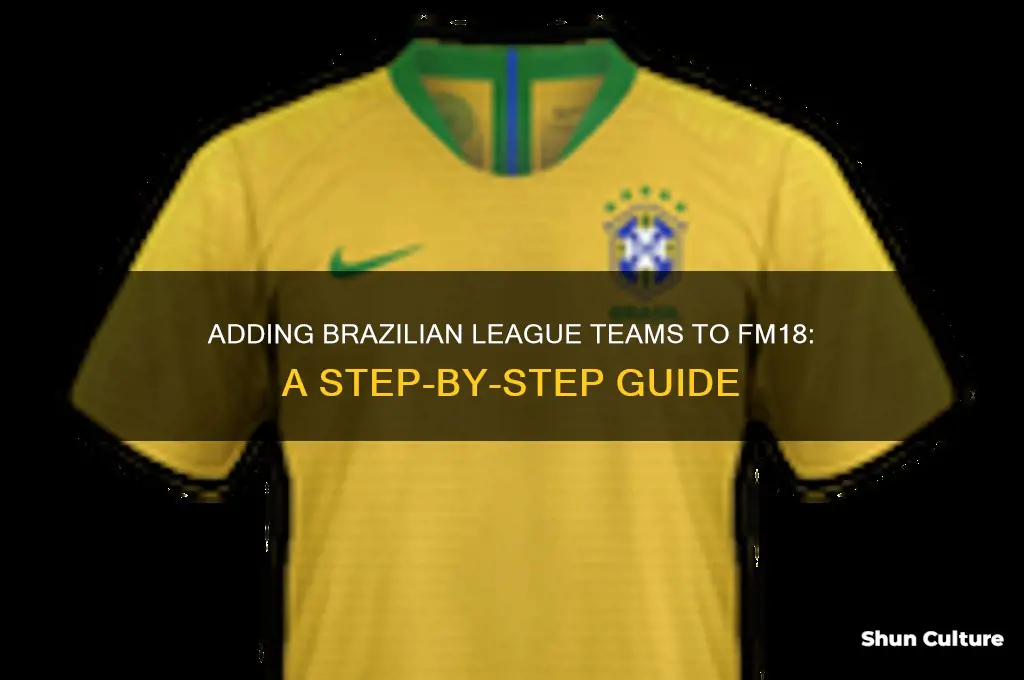 how to add brazil league teams to fm18