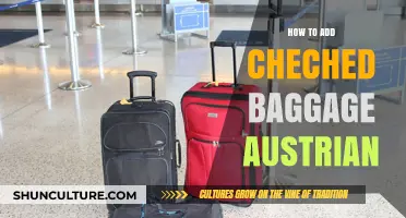 Travel Tips: Adding Checked Baggage to Austrian Airlines