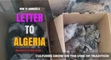 Mastering the Art of Addressing Letters to Algeria: A Comprehensive Guide