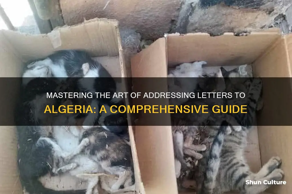 how to address a letter to algeria