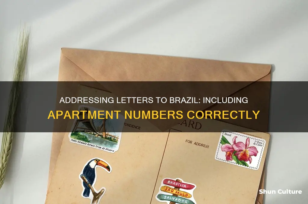 how to address a letter to brazil with apartment number