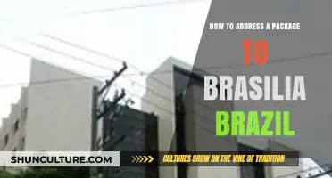 Mastering Package Addressing: A Guide to Sending Mail to Brasilia, Brazil