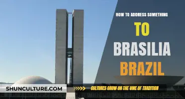 Mastering Mail: How to Address Letters to Brasilia, Brazil
