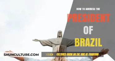 Proper Etiquette: Addressing Brazil's President with Respect and Protocol