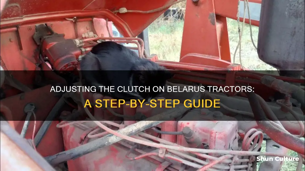 how to adjust clutch on belarus tractor