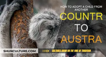 Adopting a Child Abroad: The Australian Guide