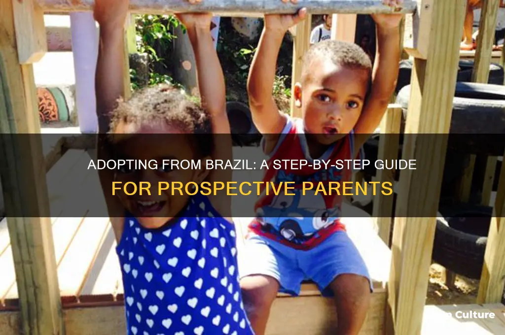 how to adopt a child from brazil