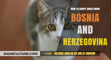 Adopting a Child from Bosnia and Herzegovina: A Comprehensive Guide