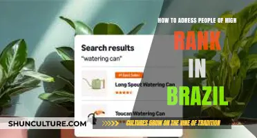 Mastering Brazilian Etiquette: Addressing High-Ranking Individuals with Respect