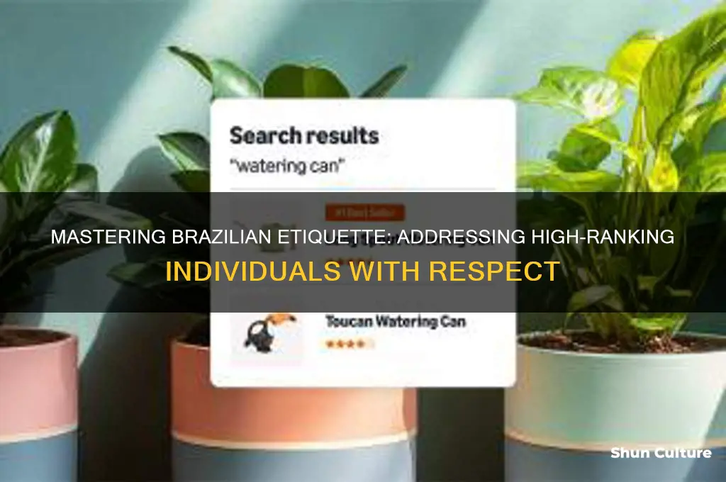 how to adress people of high rank in brazil