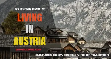 Surviving in Austria: Strategies for Managing High Costs