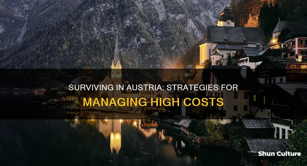 how to afford the cost of living in austria