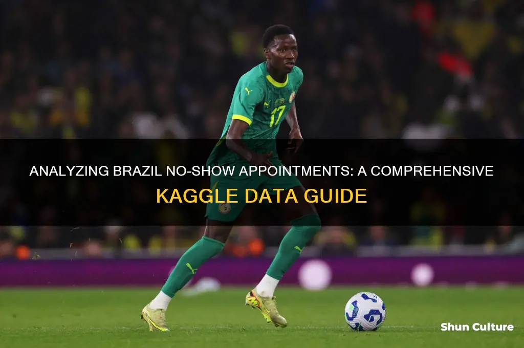 how to analyze the brazil no-show appointments kaggle