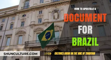 Apostille Made Easy: A Step-by-Step Guide for Brazil Documents