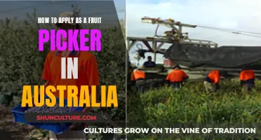 Fruit Picking in Australia: Application Process and Requirements