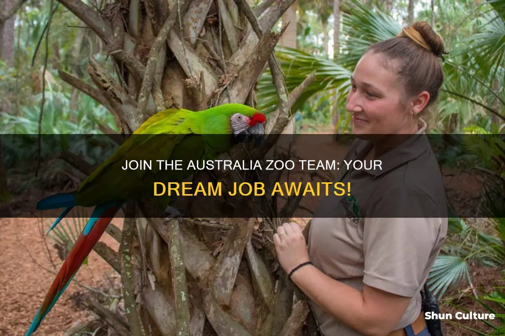 how to apply at australia zoo