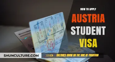 A Comprehensive Guide: Applying for an Austrian Student Visa