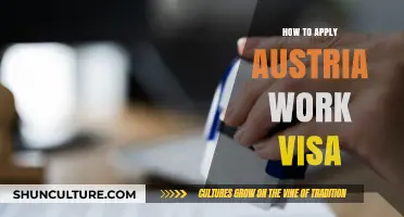 A Comprehensive Guide: Austria Work Visa Application Process