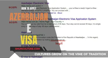 Applying for an Azerbaijan e-Visa: A Simple Guide