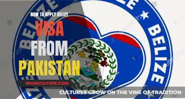 Pakistani Travelers' Guide to Securing a Belize Visa