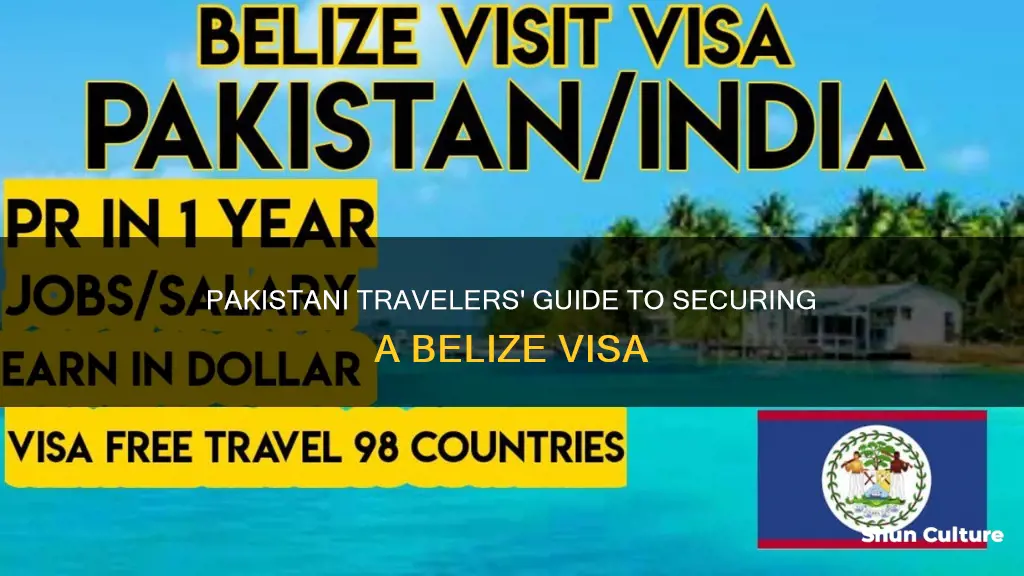 how to apply belize visa from pakistan