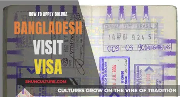 Applying for Bolivia, Bangladesh Visit Visas: A Step-by-Step Guide