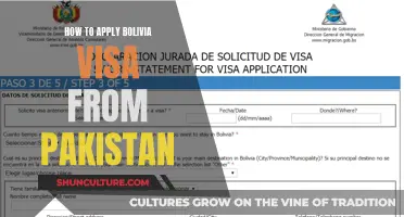 Bolivia Visa Application: Pakistan to Bolivia