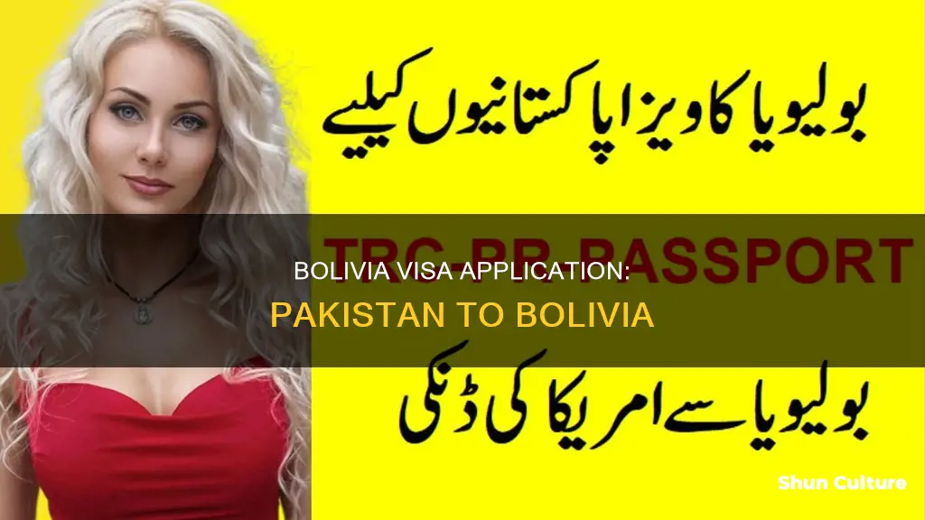 how to apply bolivia visa from pakistan