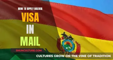 Applying for a Bolivia Visa: A Mail-In Guide