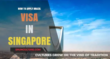 Step-by-Step Guide to Applying for a Brazil Visa in Singapore