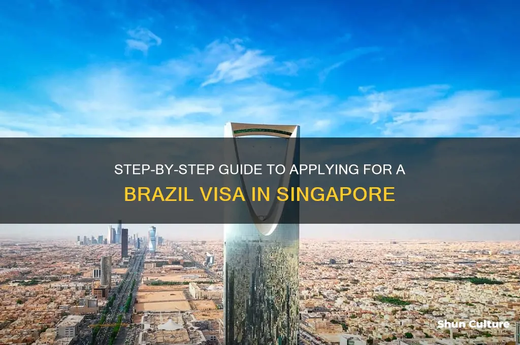 how to apply brazil visa in singapore