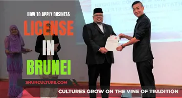 A Guide to Applying for Business Licenses in Brunei