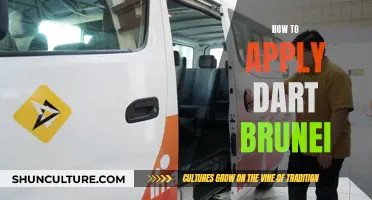 Dart Brunei: Application Process and Tips for Success