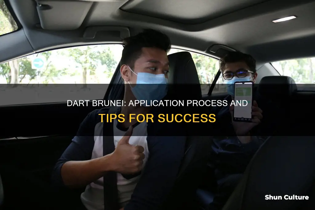 how to apply dart brunei