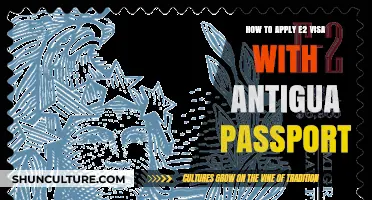 E2 Visa Application Guide for Antigua and Barbuda Citizens